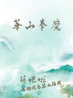 华山拳魔