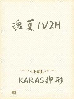 瑰夏1V2H