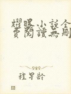 耀眼小说全文免费阅读无删减