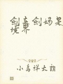剑来剑妈是什么境界