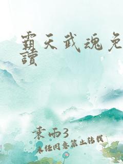 霸天武魂免费阅读
