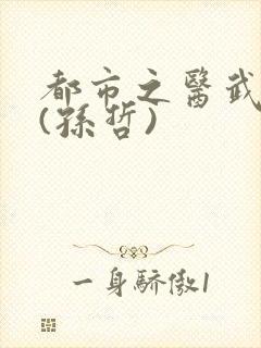 都市之医武双修(孙哲)