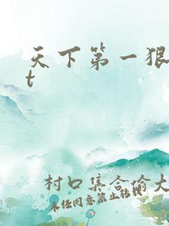 天下第一狠txt