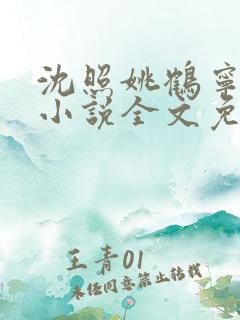 沈照姚鹤宁慕婉小说全文免费阅读笔趣阁