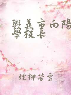 兴义市向阳路小学校长