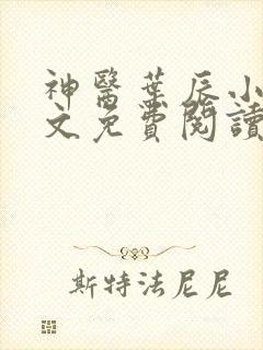 神医叶辰小说全文免费阅读