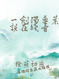 一剑独尊叶玄小说在线看