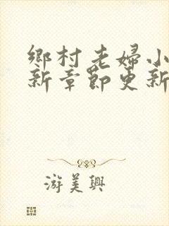 乡村老妇小说最新章节更新