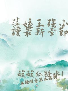 萍姨王强小说阅读最新章节