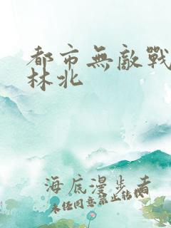都市无敌战神之林北