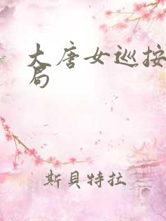 大唐女巡按大结局