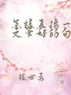 怎样表扬一个人文笔好的句子