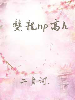 双龙np高h