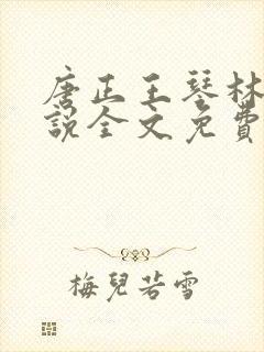 唐正王琴林媛小说全文免费阅读