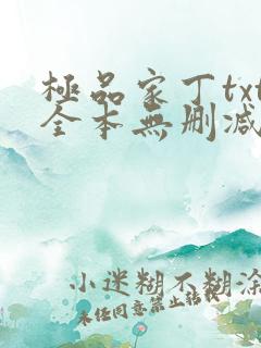 极品家丁txt全本无删减下载