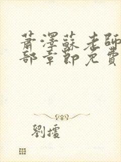 萧泽苏老师的全部章节免费阅读