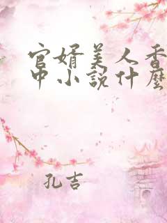 官婿美人香刘志中小说什么书名
