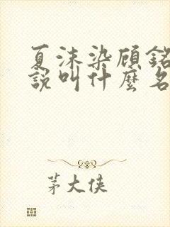 夏沫染顾铭修小说叫什么名字