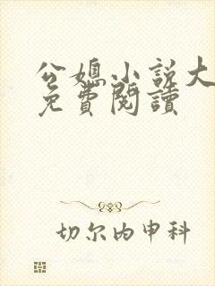 公媳小说大全套免费阅读