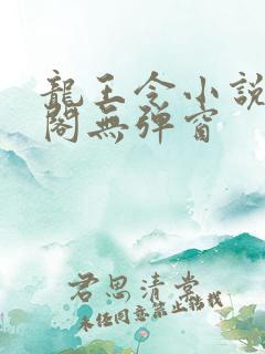 龙王令小说笔趣阁无弹窗