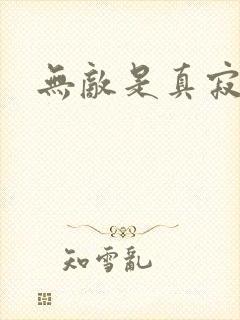 无敌是真寂寞