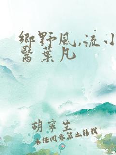 乡野风,流小神医叶凡
