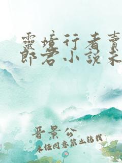灵境行者卖报小郎君小说未删版