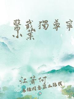 医武独尊宁天江小叶