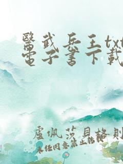 医武兵王txt电子书下载