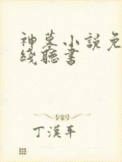 神墓小说免费在线听书
