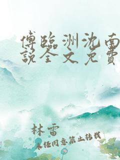 傅临洲沈南意小说全文免费阅读