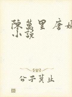 陈万里 唐嫣然小说