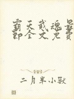 霸天武魂最新章节全文免费阅读