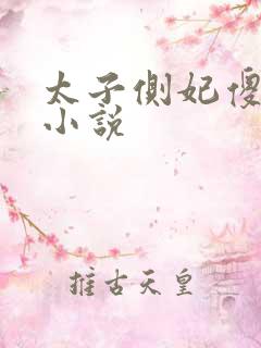 太子侧妃傻乎乎小说