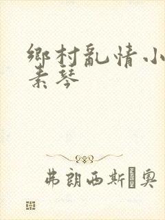 乡村乱情小雷和素琴