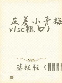 反差小青梅(1v1sc粗口)