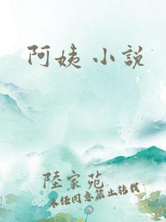 阿姨 小说