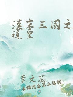 汉末三国之乱世道皇