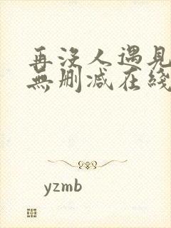 再没人遇见全文无删减在线阅读