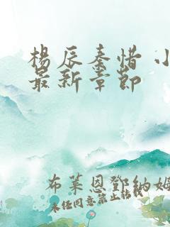 杨辰秦惜 小说最新章节
