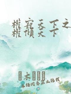 权宠天下之医妃权倾天下