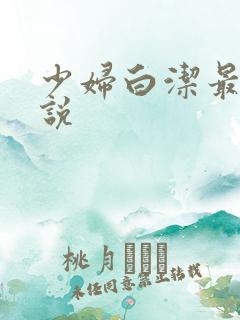 少妇白洁最新小说