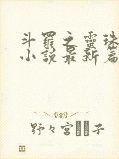 斗罗之灵珠神剑小说最新篇章