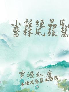 小说绝品风流狂医林风张慧正版