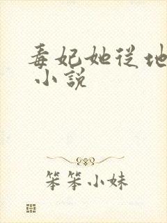 毒妃她从地狱来 小说