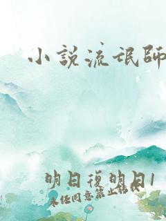 小说流氓师表