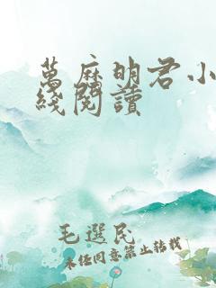万历明君小说在线阅读