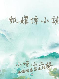 甄嬛传小说