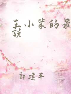 王小蒙的最新小说