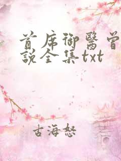 首席御医曾毅小说全集txt